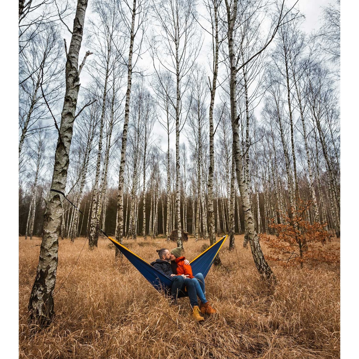 Hammock popular