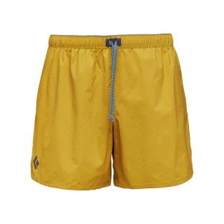 MEN'S FLATIRON SHORTS MEDIUM