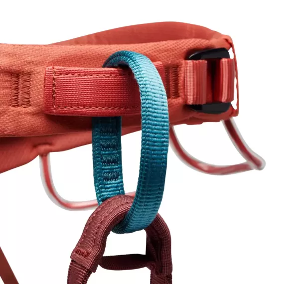 Women's Momentum Harness